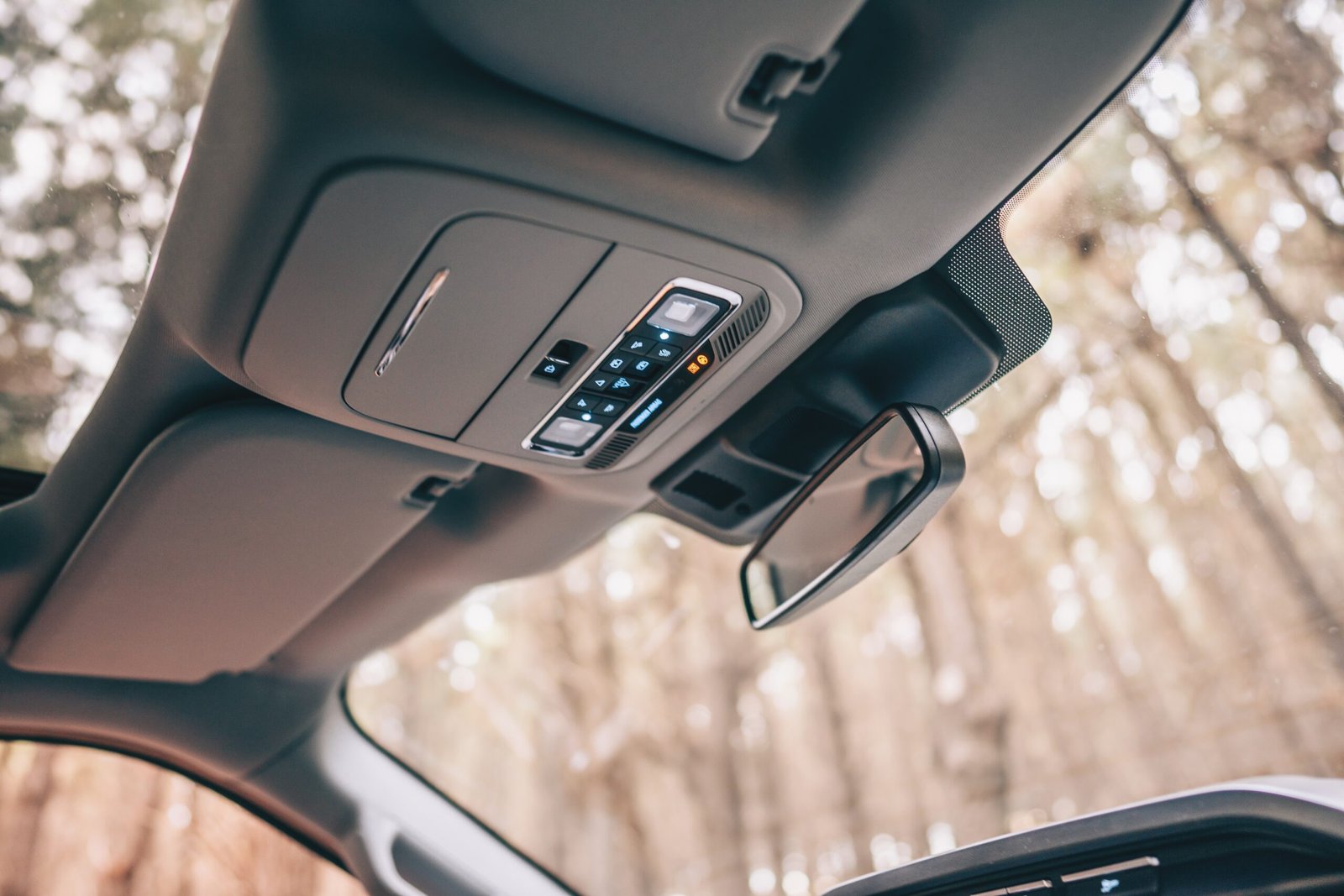 Processed with VSCO with q1 preset