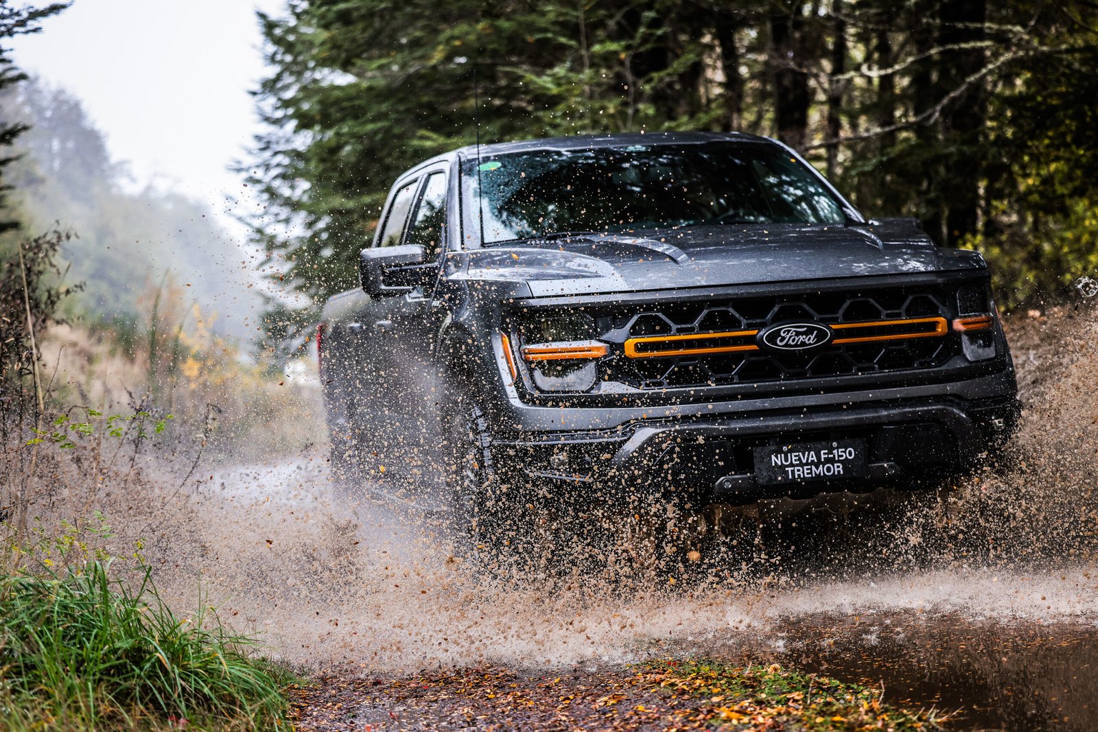 Ford Tremor VLA_0045 (1)