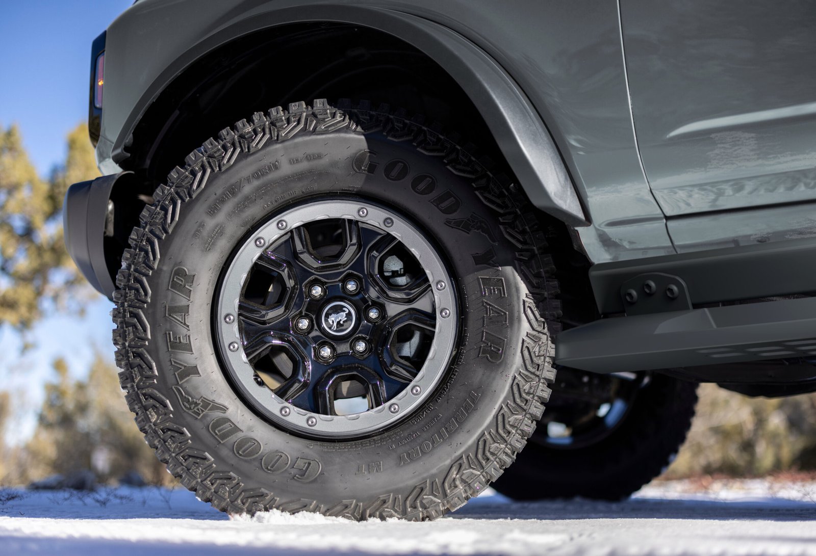 R_R7A6083_V1-2 copia